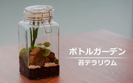 素心園のボトルガーデン（ガラスビンに入った苔テラリウム）[ZB156]