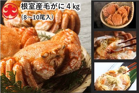 【北海道根室産】ボイル毛がに8～10尾(計4kg) E-01003