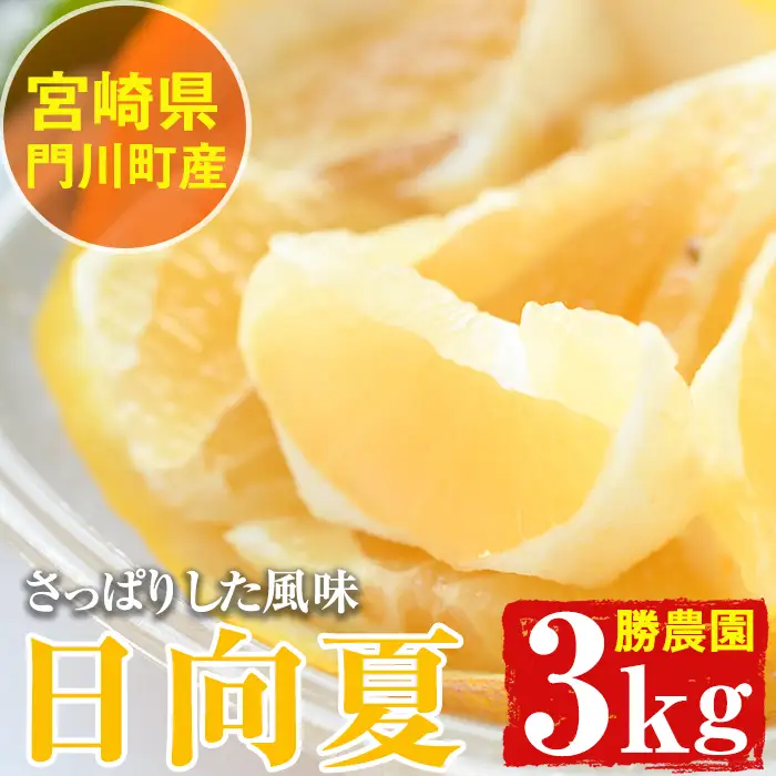 日向夏(約3kg) 柑橘 果物 数量限定 期間限定 国産 フルーツ 常温 保存 遠見半島 【AE-13】【勝農園】