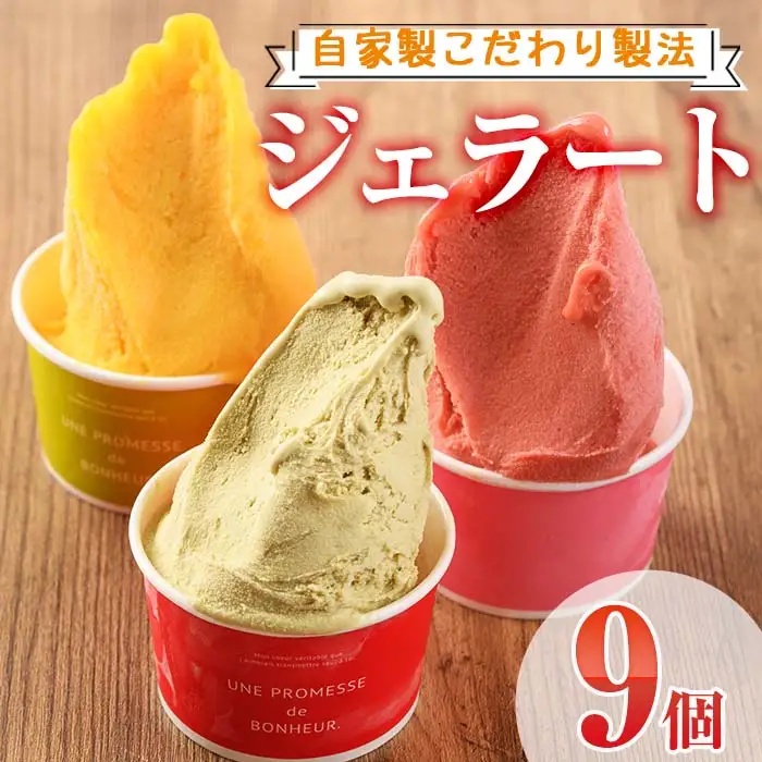 【I-2】＜先行予約受付中！2026年5月から順次発送予定＞自家製こだわり製法！自家製ジェラート(9個)【ミツル・プラス】