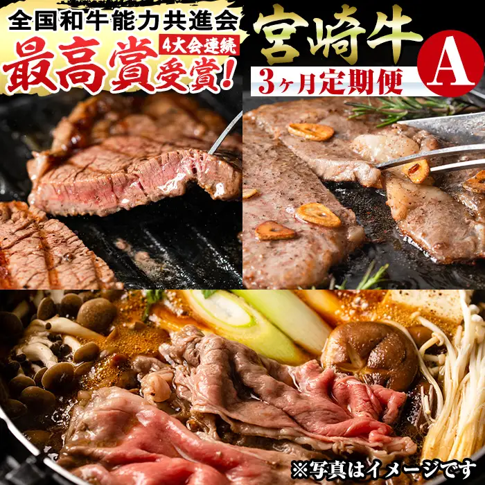 ＜定期便・全3回(連続)＞宮崎牛定期便(Aセット)国産  黒毛和牛 冷凍【R-69】【株式会社ミヤチク】