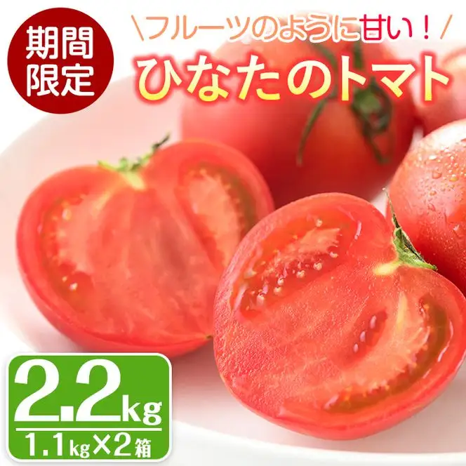 ひなたのとまと(計2.2kg・1.1kg×2箱)トマト フルーツトマト 糖度 9度 以上 野菜 旬野菜 冷蔵 門川町産 宮崎県 門川町【A-3】【株式会社 新門トマト農園】