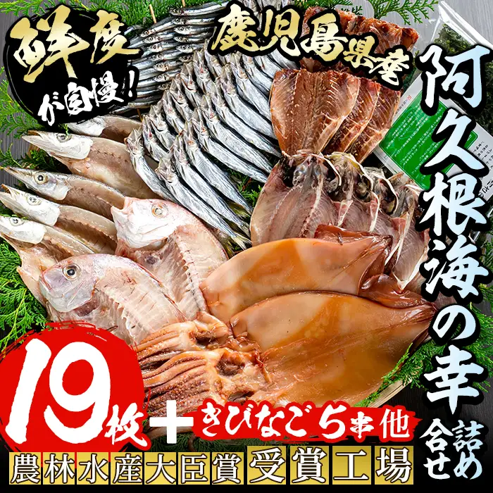 鹿児島県産！干物詰め合わせ＜8種＞国産 九州産 鹿児島産 干物 ひもの 乾物　鯛 タイ 鯵 アジ かます いか きびなご ウルメ あおさのり セット 詰合せ【又間水産】akn001-06