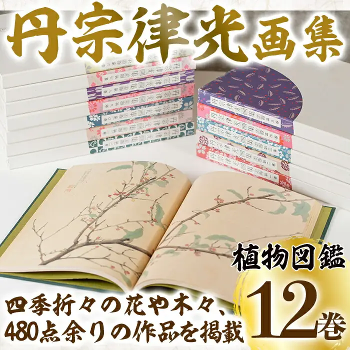丹宗律光画集(全12巻)美術品 丹宗律光 画集 絵画 図鑑 古書 書籍【生涯学習課】akn012-02