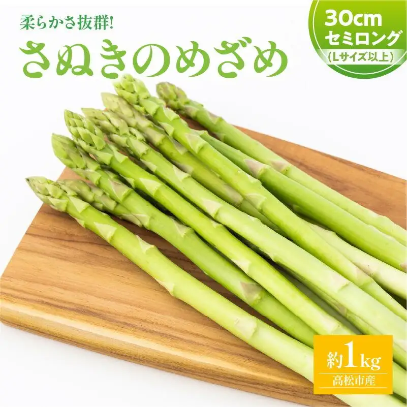 柔らかさ抜群! さぬきのめざめセミロング30cm(Lサイズ以上) 約1kg【2027-3月上旬～2027-3月下旬配送】
