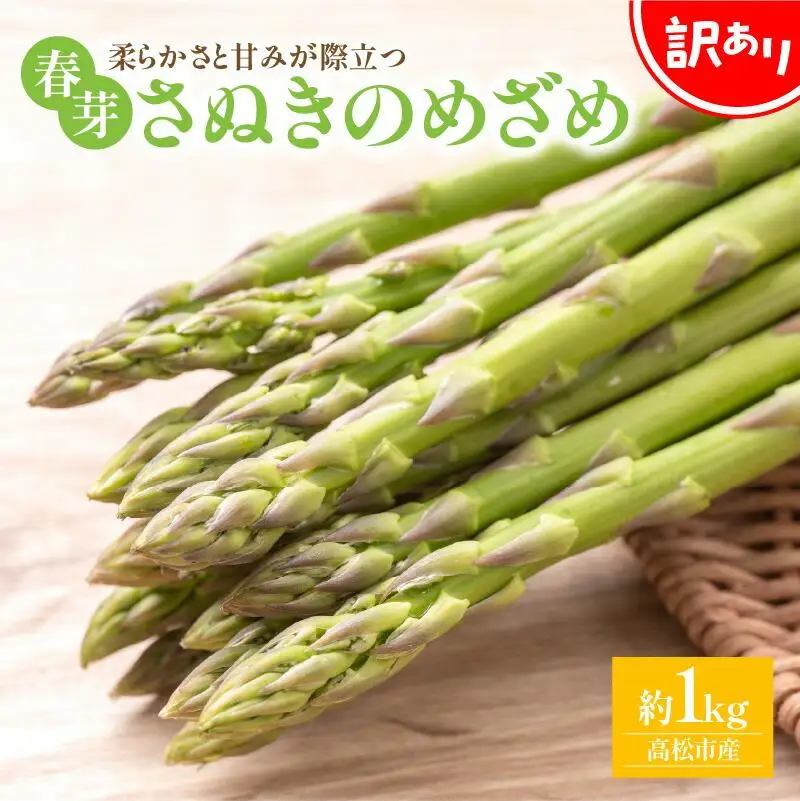 訳あり 柔らかさと甘みが際立つ さぬきのめざめ春芽 約1kg【2027-1月下旬～2027-2月下旬配送】