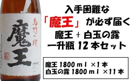 No.10001-1 【幻の魔王と伝統の白玉の露】白玉醸造の銘酒12本セット