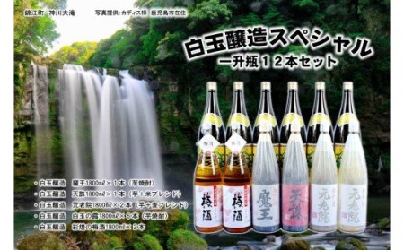 No.10002-1 大人気『魔王』『彩煌の梅酒』入り 一升瓶12本セット