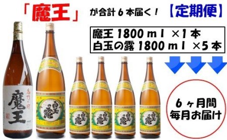 TK-006-1 【定期便：魔王入りセット】＜魔王＞1升瓶×6本 ＜白玉の露＞ 1升瓶×30本「6ヶ月定期配送」