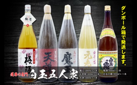 No.5025-1　薩摩の名門　白玉五人衆　一升瓶５本セット