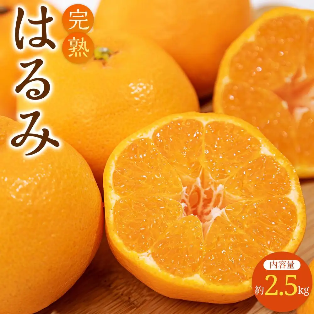 完熟 はるみ 約2.5kg【2027-2月下旬～2027-3月下旬配送】