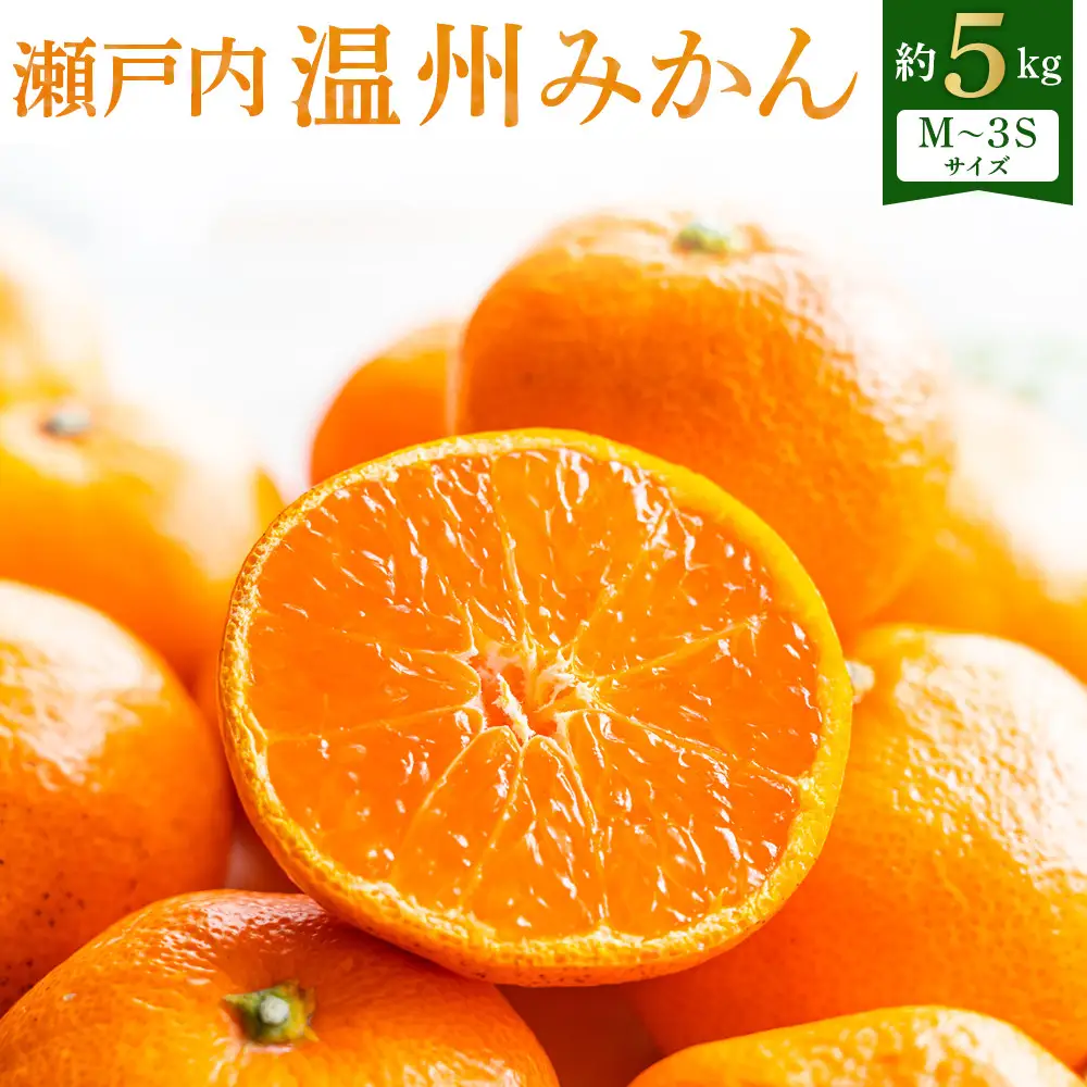 【先行予約】瀬戸内温州みかん　M～3Sサイズ　約5kg【2026年10月上旬～2027年1月下旬配送】| みかん