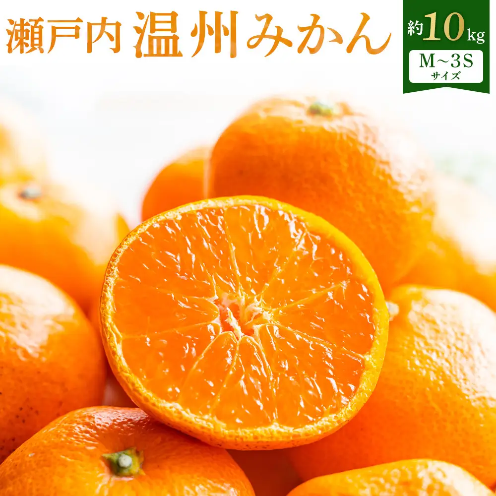 【先行予約】瀬戸内温州みかん　M～3Sサイズ　約10kg【2026年10月上旬～2027年1月下旬配送】