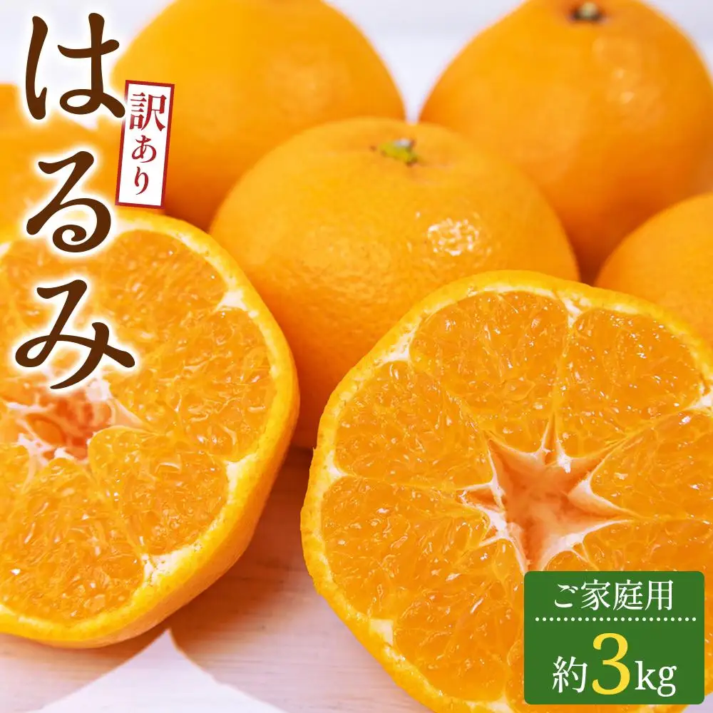 訳あり ご家庭用 はるみ 約3kg【2027-2月上旬～2027-3月下旬配送】