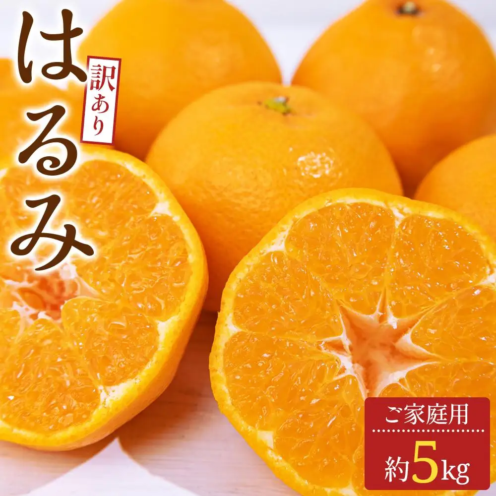 訳あり ご家庭用 はるみ 約5kg【2027-2月上旬～2027-3月下旬配送】