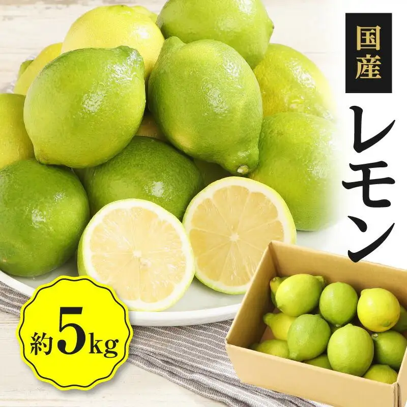 レモン　約5kg【2026年11月下旬～2027年4月上旬配送】