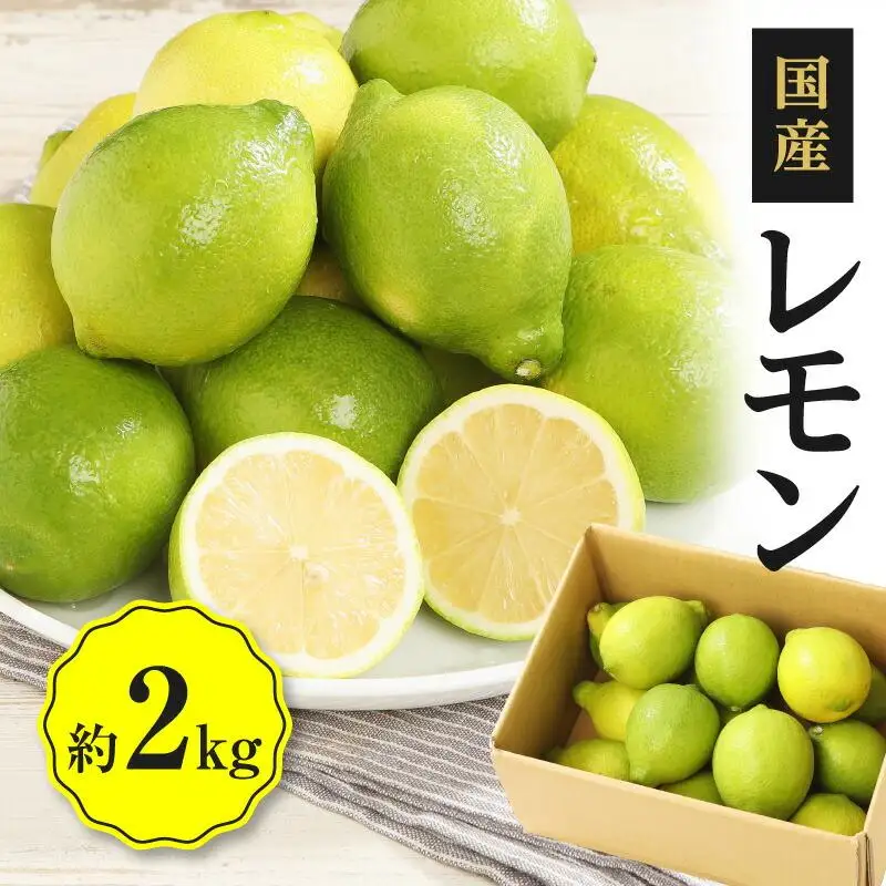 レモン　約2kg【2026年11月下旬～2027年4月上旬配送】
