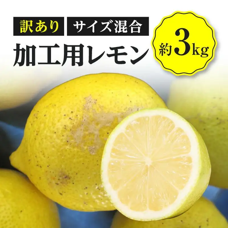 訳あり 加工用 レモン (サイズ混合) 3kg【2026年11月下旬～2027年4月上旬配送】