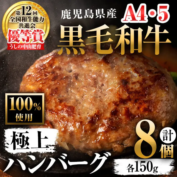鹿児島県産 黒毛和牛 100%使用 極上 ハンバーグ(計1.2kg) a6-027