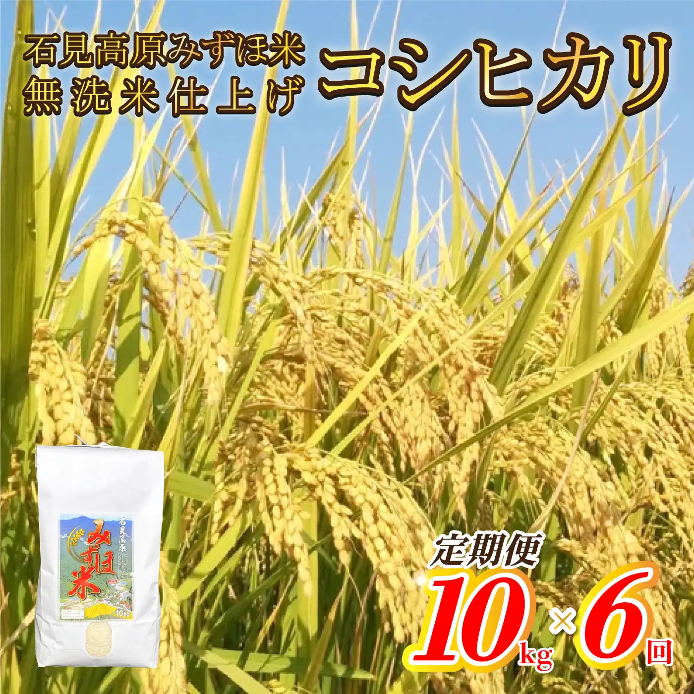 【定期便】令和7年産石見高原みずほ米コシヒカリ 無洗米仕上 10kgｘ6回 