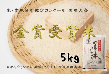 【令和7年産】コシヒカリ「やまびこ米」 5kg 玄米黒酢農法 金賞受賞 特別栽培米 白米 精米 農家直送  新潟県 米 こめ コメ 1P02015