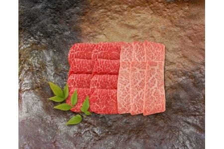 松喜屋 近江牛 厳選焼肉用 約1100g /ギフト のし 熨斗 お歳暮