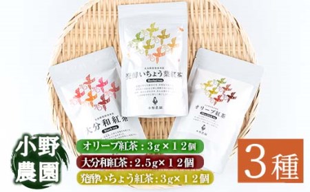 紅茶 ティーバッグ 3種セット (オリーブ紅茶、和紅茶、発酵いちょう葉紅茶・各12個) お茶 紅茶 茶 茶葉 セット 詰め合わせ 大分県 佐伯市【ES04】【小野農園】