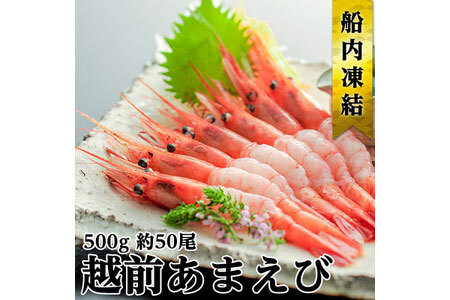 甘えび 子なし 500g 約50尾 越前甘えび えび 海老 刺身 冷凍 魚介 魚介類 海鮮 高評価