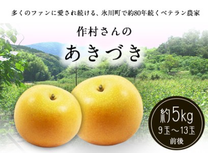 【先行予約】梨 あきづき 約5kg 梨