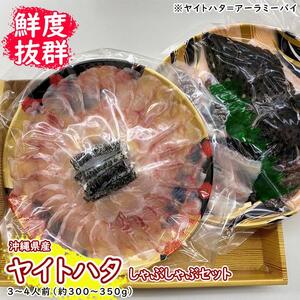【鮮度抜群！】沖縄県産 しゃぶしゃぶセット ヤイトハタ（アーラミーバイ）約300～350g｜鍋 鍋セット 3～4人前