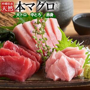 【希少！】沖縄県産 天然本マグロセット 約1kg ( 赤身約400g & 中トロ約300g & 大トロ約300g )｜マグロ 刺身 セット
