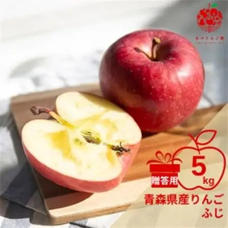 りんご ふじ 約5kg (14～20玉) 青森県産 贈答用【先行受付12月より順次発送】_A-841_【配送不可地域：離島】【1230241】