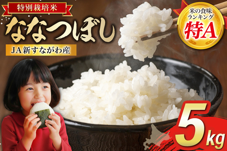 米 特Aランク 令和7年 JA新すながわ産 特栽米 ななつぼし 5kg [ホクレン商事 北海道 砂川市 12260805] 