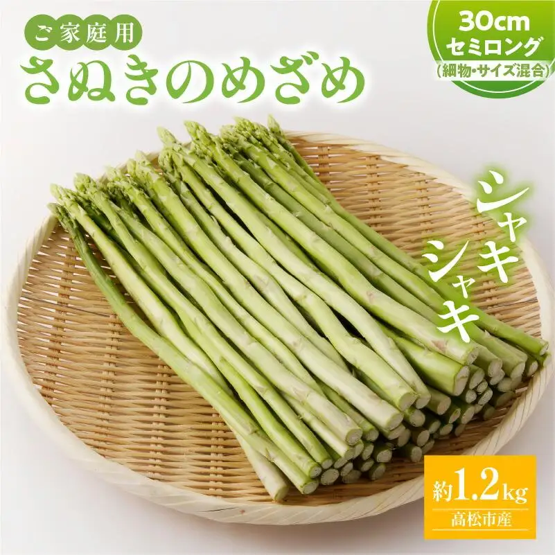 訳あり  ご家庭用 さぬきのめざめ セミロング 30cm ( 細物・サイズ混合 ) 約1.2kg【2026年7月上旬～2026年10月中旬配送】