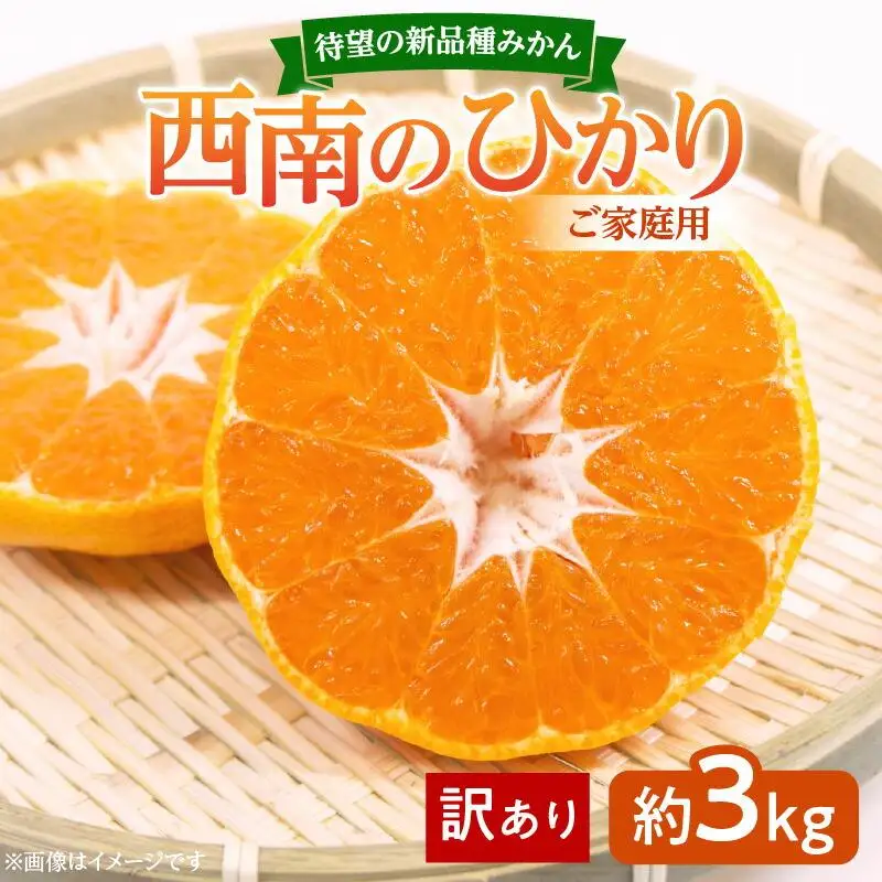 ＼寄附額改定／【訳あり 】みかん 西南のひかり　ご家庭用　約3kg【2026年12月上旬～2027年1月上旬配送】