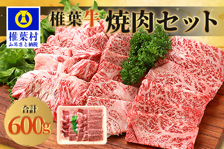 宮崎県産 椎葉牛 焼肉セット 600g A5等級指定 国産牛 黒毛和牛 和牛 牛肉 赤身 肉 A5 焼肉 セット TK-23