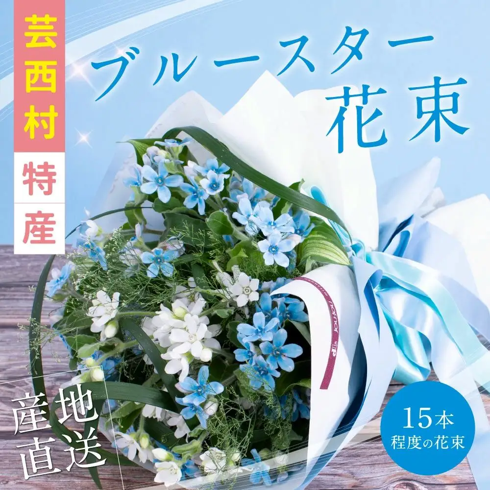 《先行予約》芸西村特産ブルースター花束（約15本程度の花束）