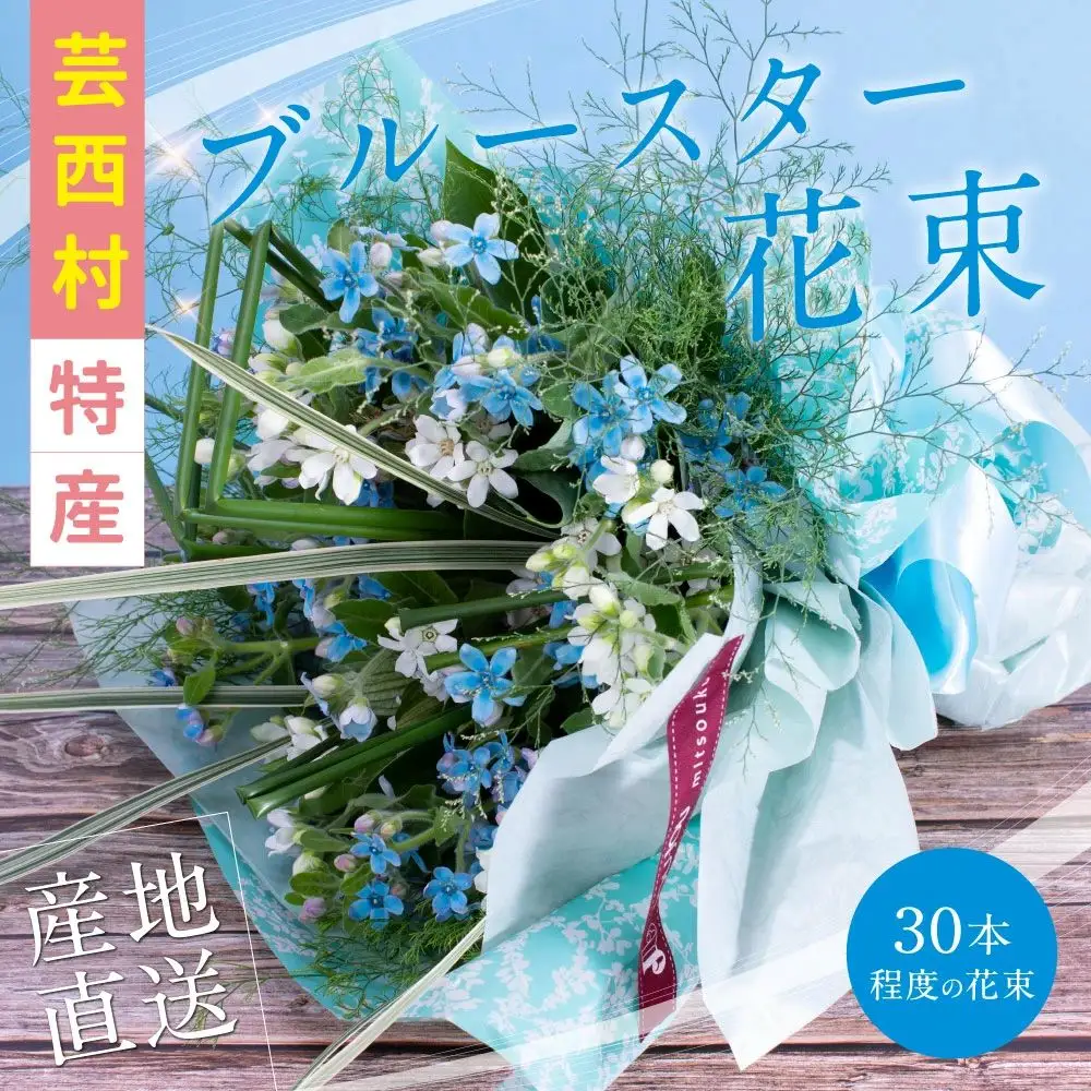 《先行予約》芸西村特産ブルースター花束（約30本程度の花束）