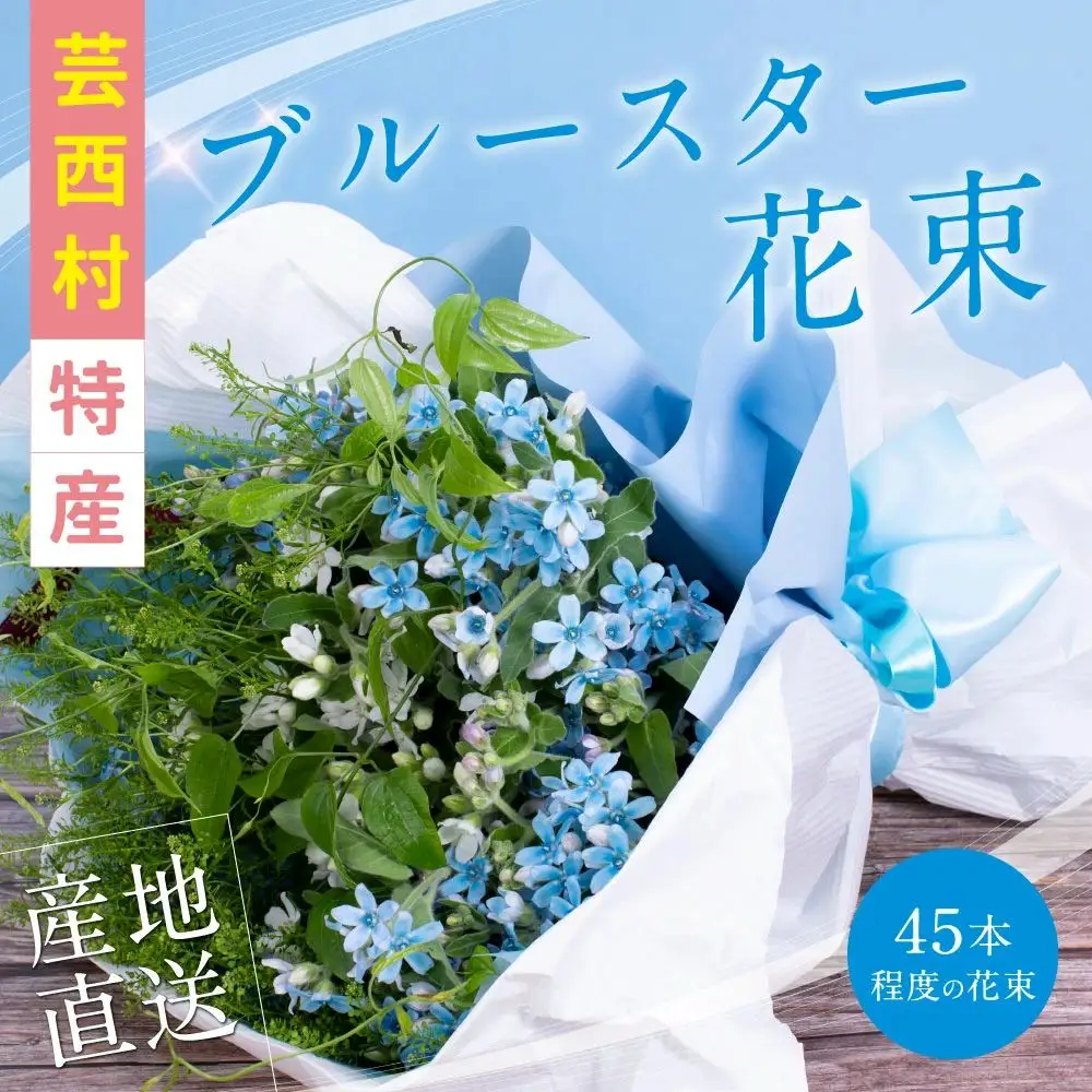 《先行予約》芸西村特産ブルースター花束（約45本程度の花束）