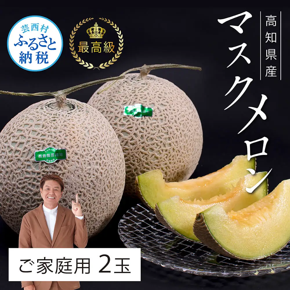 “高知県産”高級マスクメロン（ご家庭用）2玉入【発送期間：4月～12月（9カ月）】【1月～3月は気候温度不安定の為出荷不可となります。】