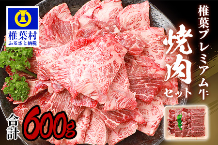 宮崎県産 椎葉プレミアム牛 焼肉セット 600g 国産牛 黒毛和牛 和牛 牛肉 赤身 肉 焼肉 セット TK-40
