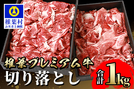 宮崎県産 椎葉プレミアム牛 切り落とし 1kg 国産牛 黒毛和牛 和牛 牛肉 赤身 肉 すき焼き 焼肉 TK-49