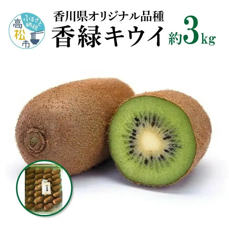 香緑キウイ　約3kg【2026年11月下旬～2027年2月下旬配送】