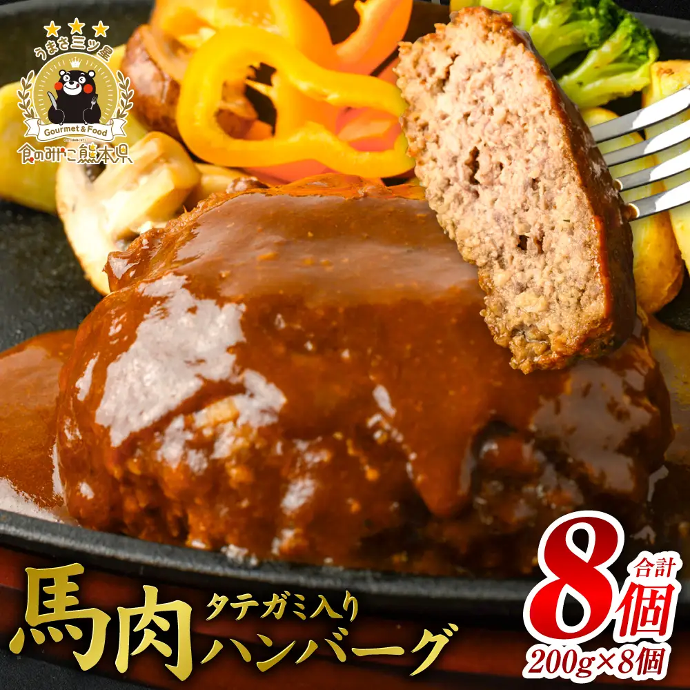 FN タテガミ入り 馬肉 ハンバーグ ( デミソース ) 8個 セット 合計約1.6kg 200g×8個 デミグラスソース ハンバーグ 馬肉 惣菜 おかず 馬肉 タテガミ 真空パック 冷凍