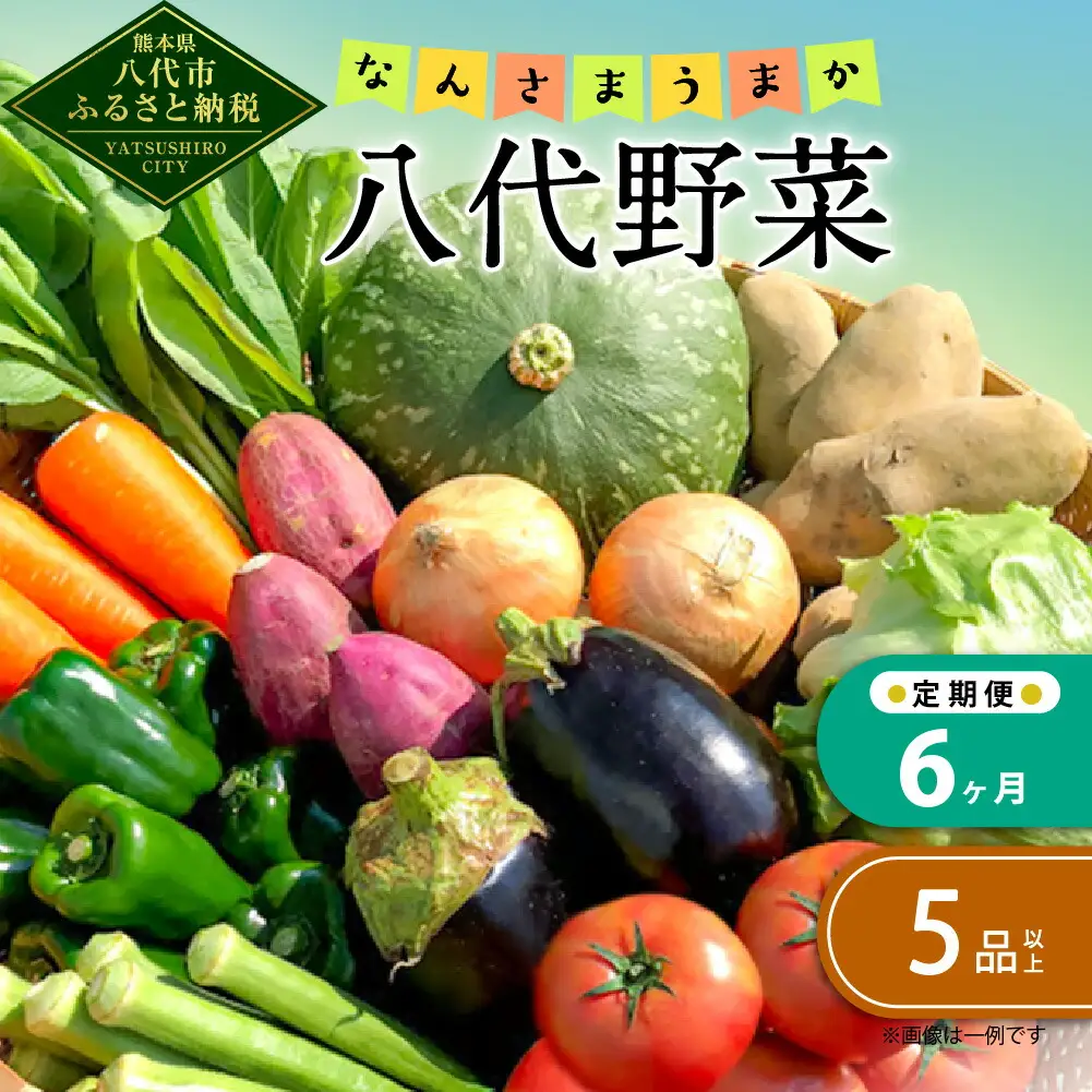 【定期便6回】なんさまうまか八代野菜セット 5品以上 やさい 詰め合わせ 熊本県産 野菜 果実 果物 くだもの フルーツ セット 季節の野菜 季節の果実 春 夏 秋 冬 旬 おまかせ 定期 国産 八代市産 熊本県
