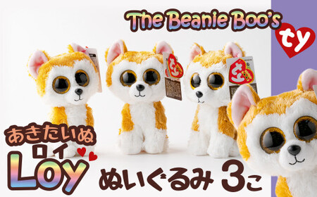 60P7320 Tyぬいぐるみ秋田犬Loy(ロイ)　3個セット 【配送日指定不可】