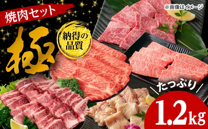 焼肉セット 味付き 極 1.2kg 焼肉セット BLCD002