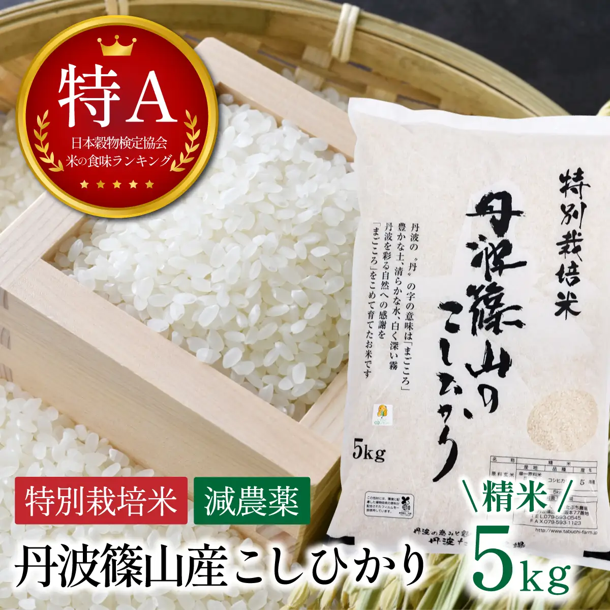 〈スピード出荷〉減農薬 特A 丹波篠山産 特別栽培米 こしひかり 5kg 精米