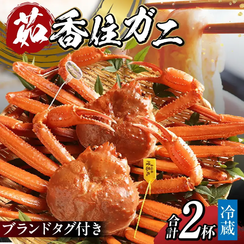 香住ガニ 大 タグ付き ボイル 茹で 約700g×2杯【令和8年9月中旬以降発送予定】カニ かに 11-04