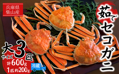 【先行予約】茹で セコガニ 大 約200g×3匹 冷蔵 【令和8年11月中旬以降発送予定】 かに カニ 37-02
